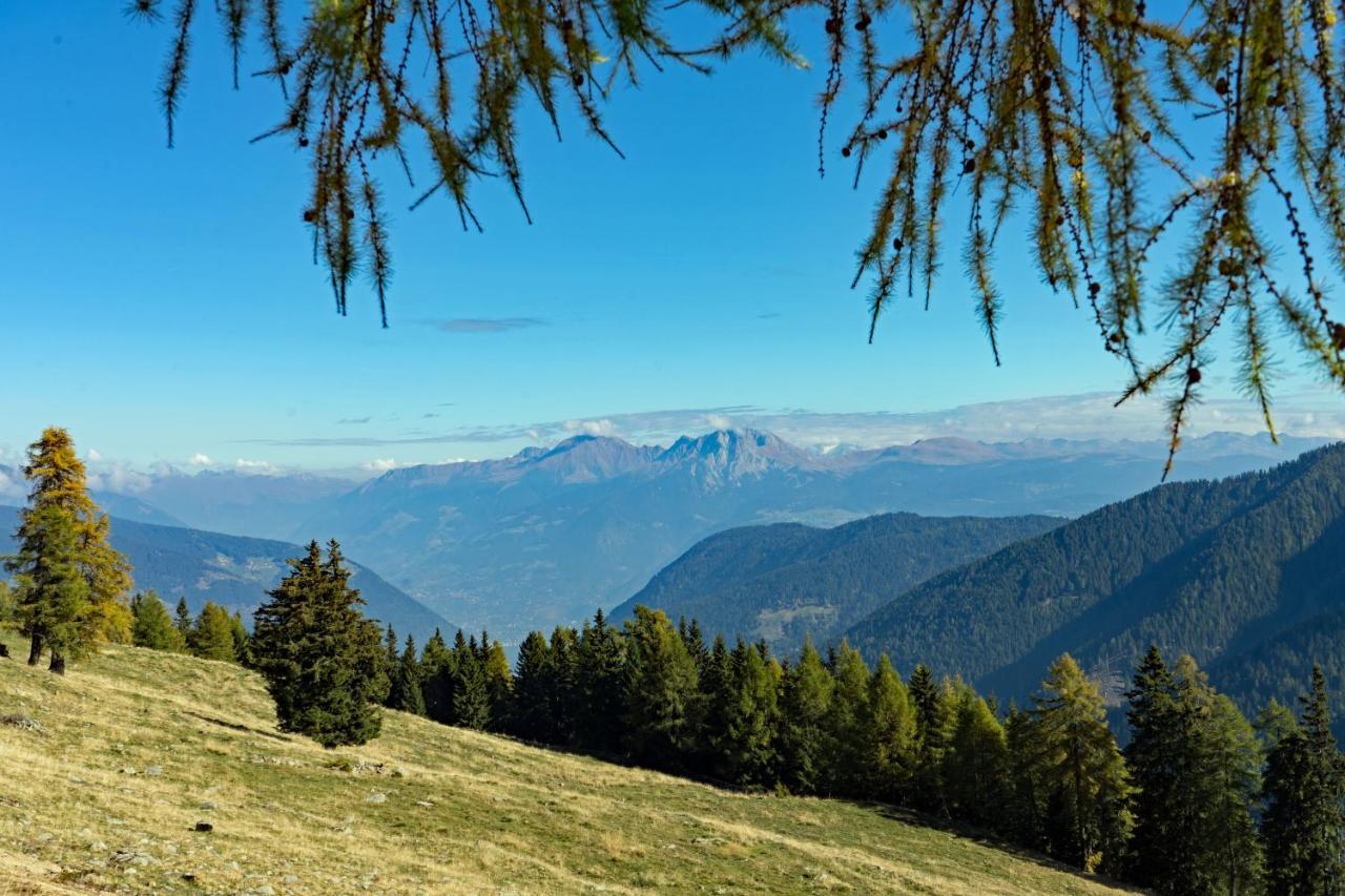 Hotel Alpenhof Ulten Buitenkant foto